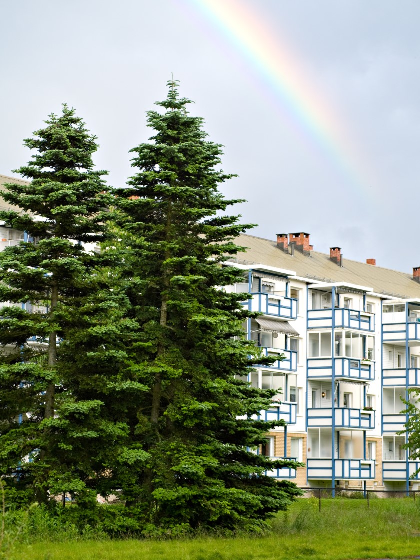 glazier Lambertseter